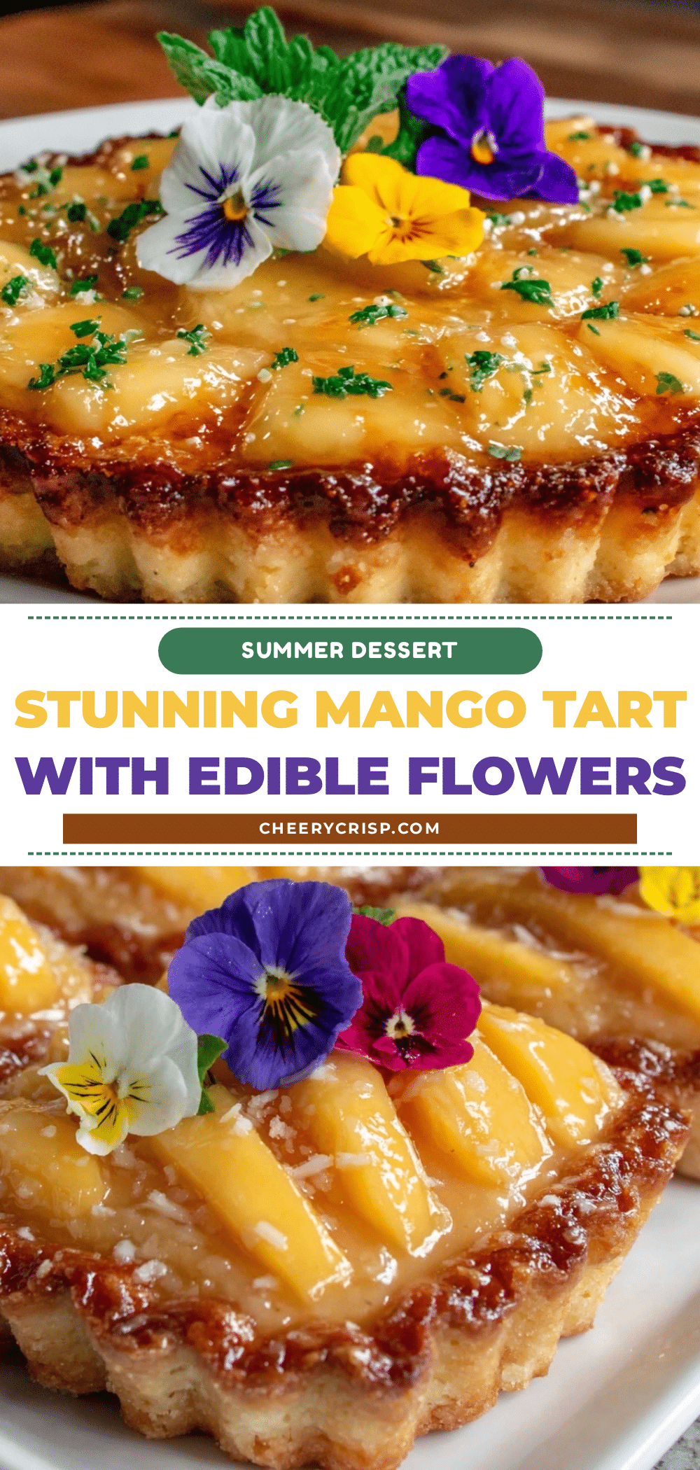 mango tart recipe recipe