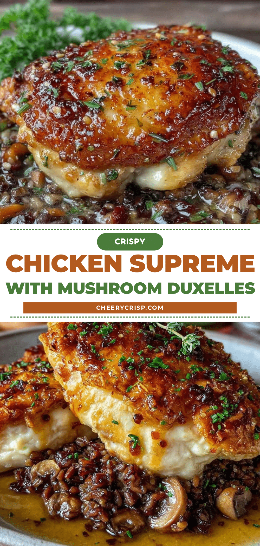 perfect chicken supreme recipe recipe