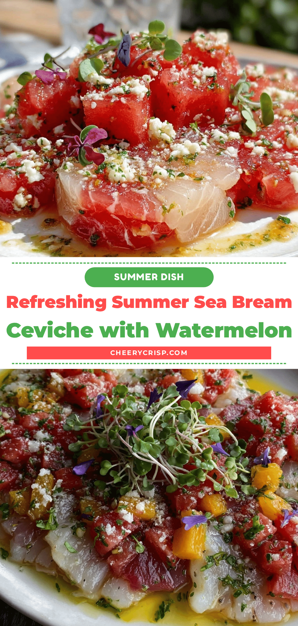 sea bream ceviche recipe