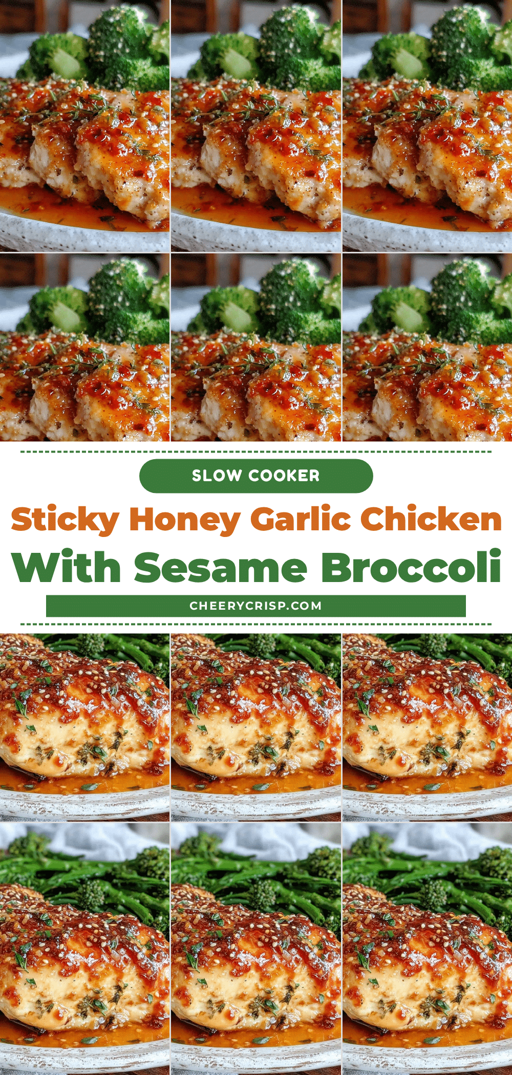 slow cooker honey garlic chicken breast recipe
