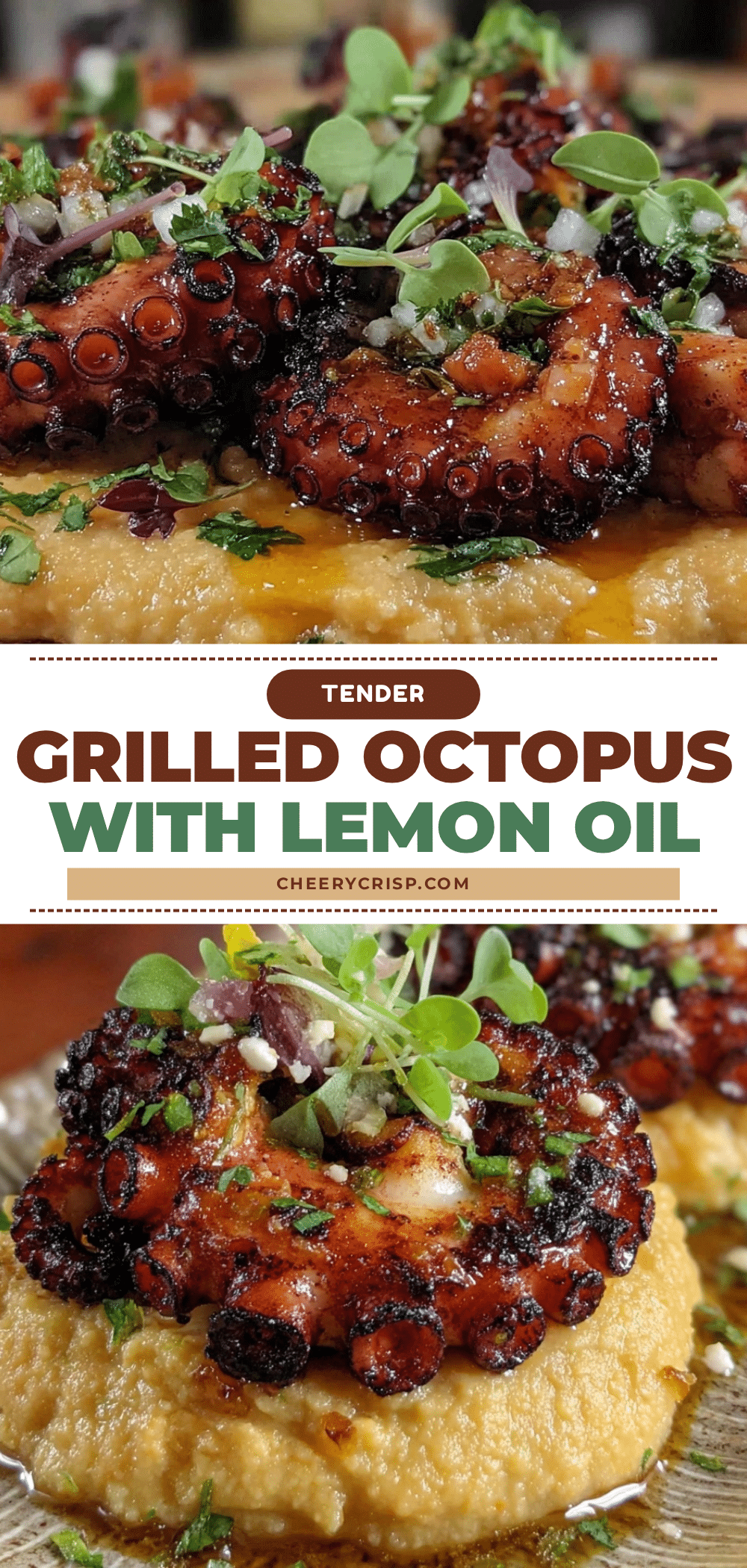 tender grilled octopus recipe recipe