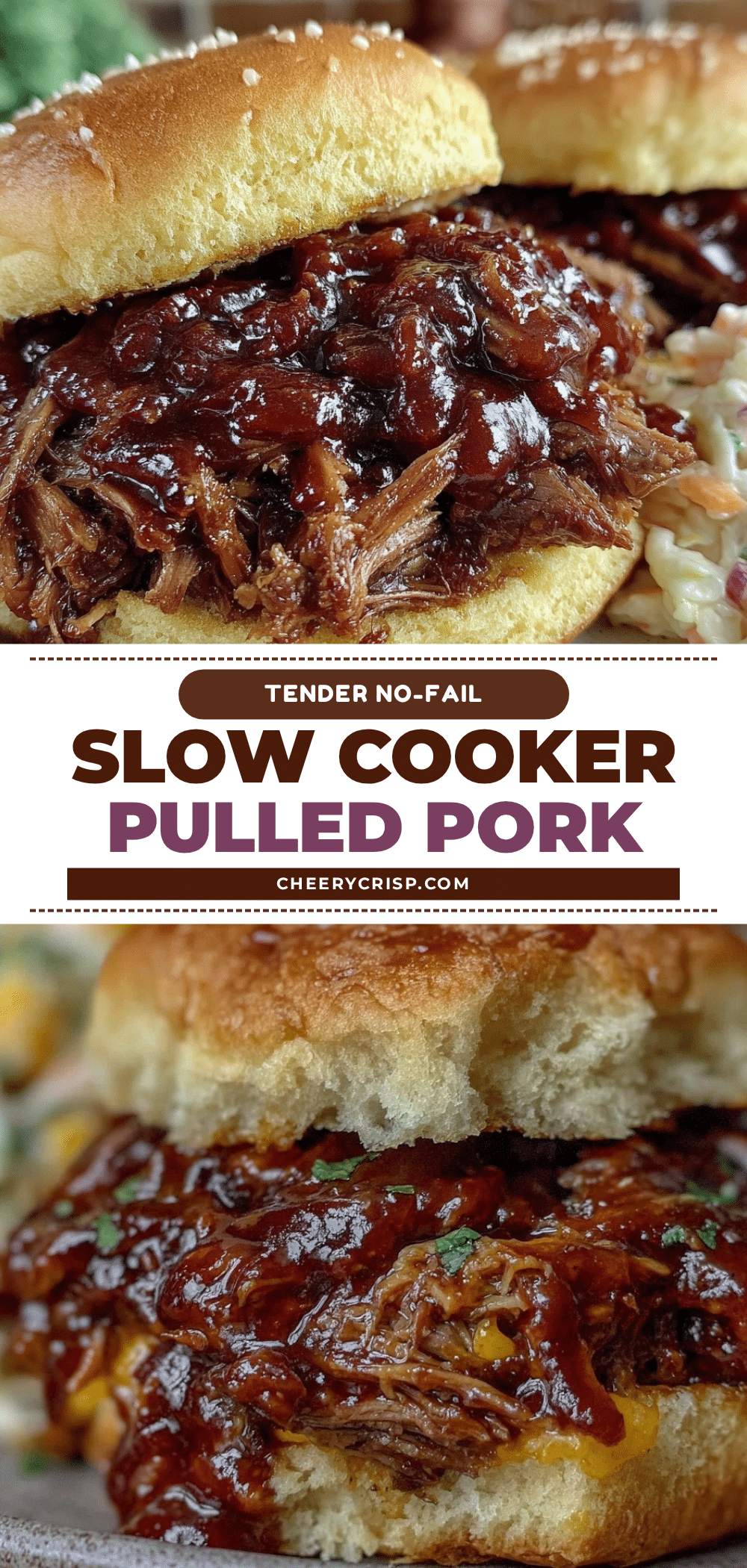 slow cooker pulled pork sandwich recipe