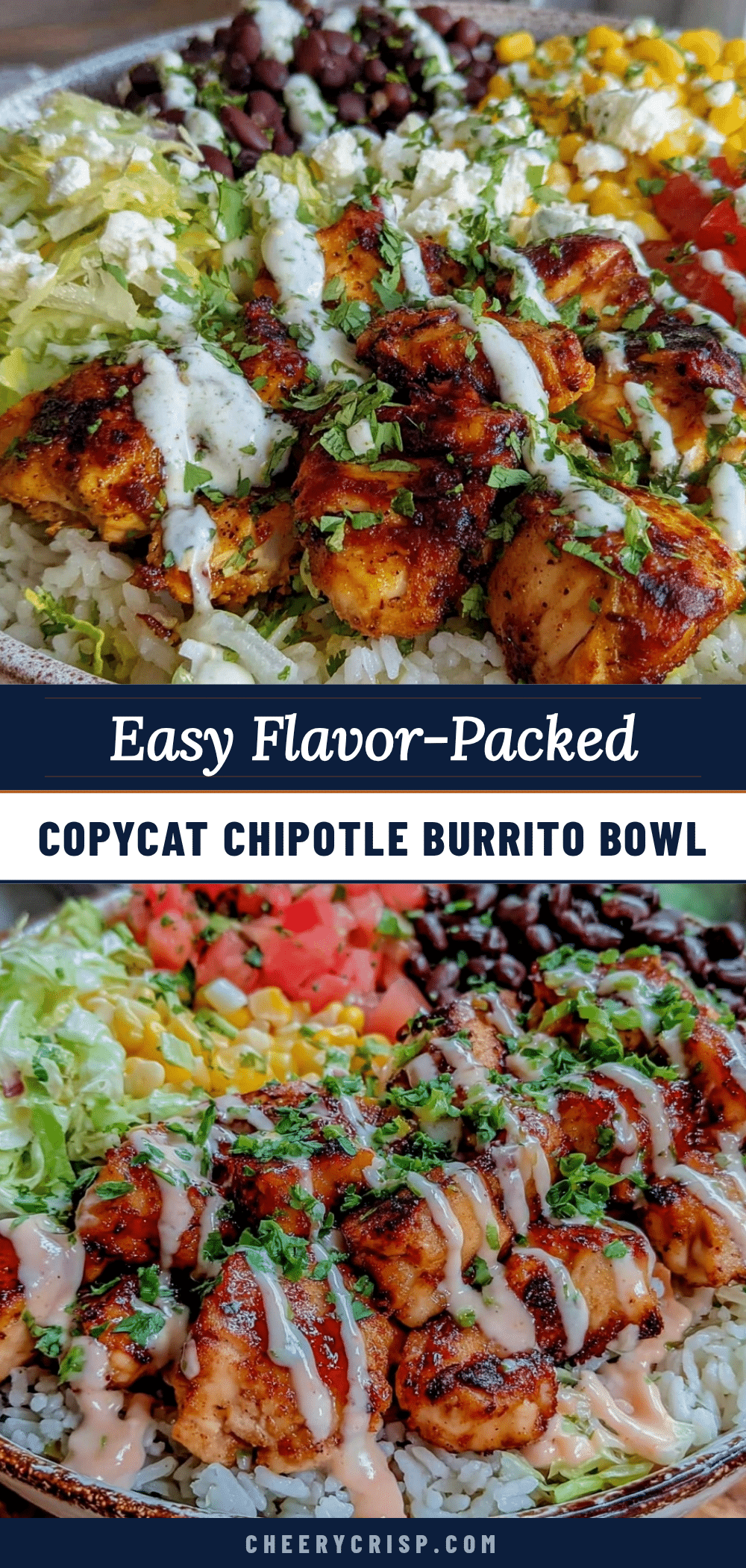 copycat chipotle burrito bowl recipe recipe