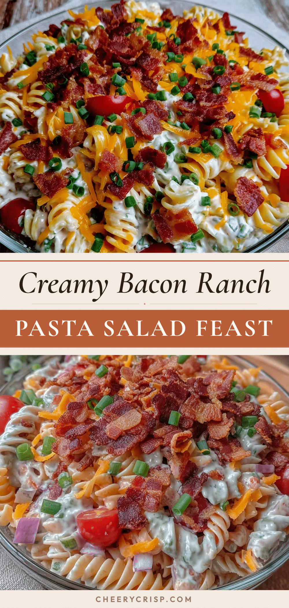 creamy bacon ranch pasta salad recipe