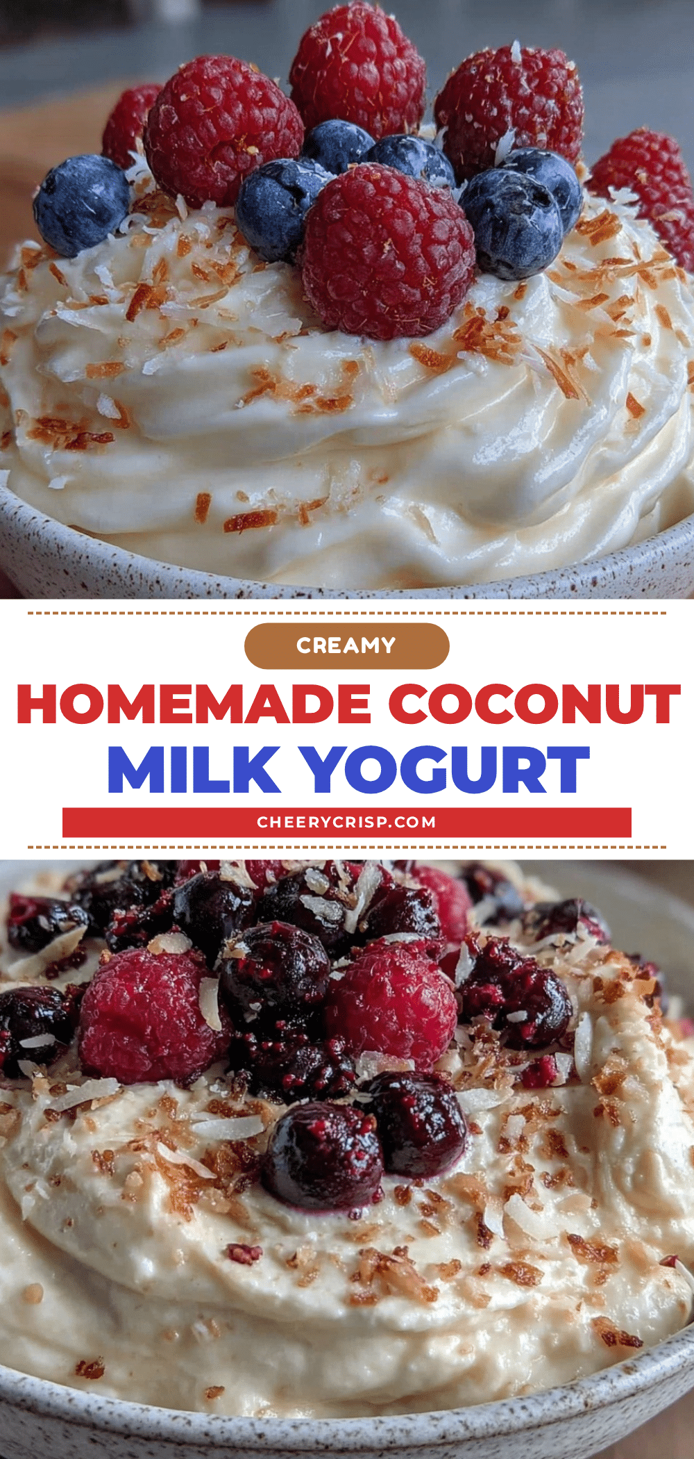 creamy coconut milk yogurt with probiotics recipe