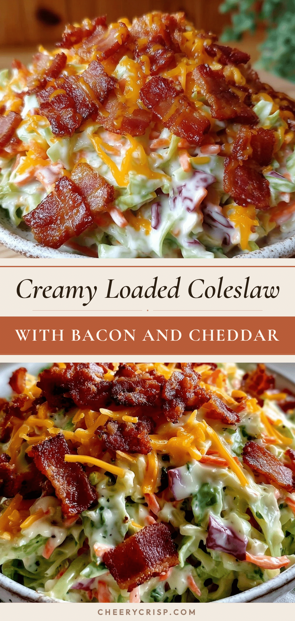 creamy loaded coleslaw with bacon and cheddar recipe