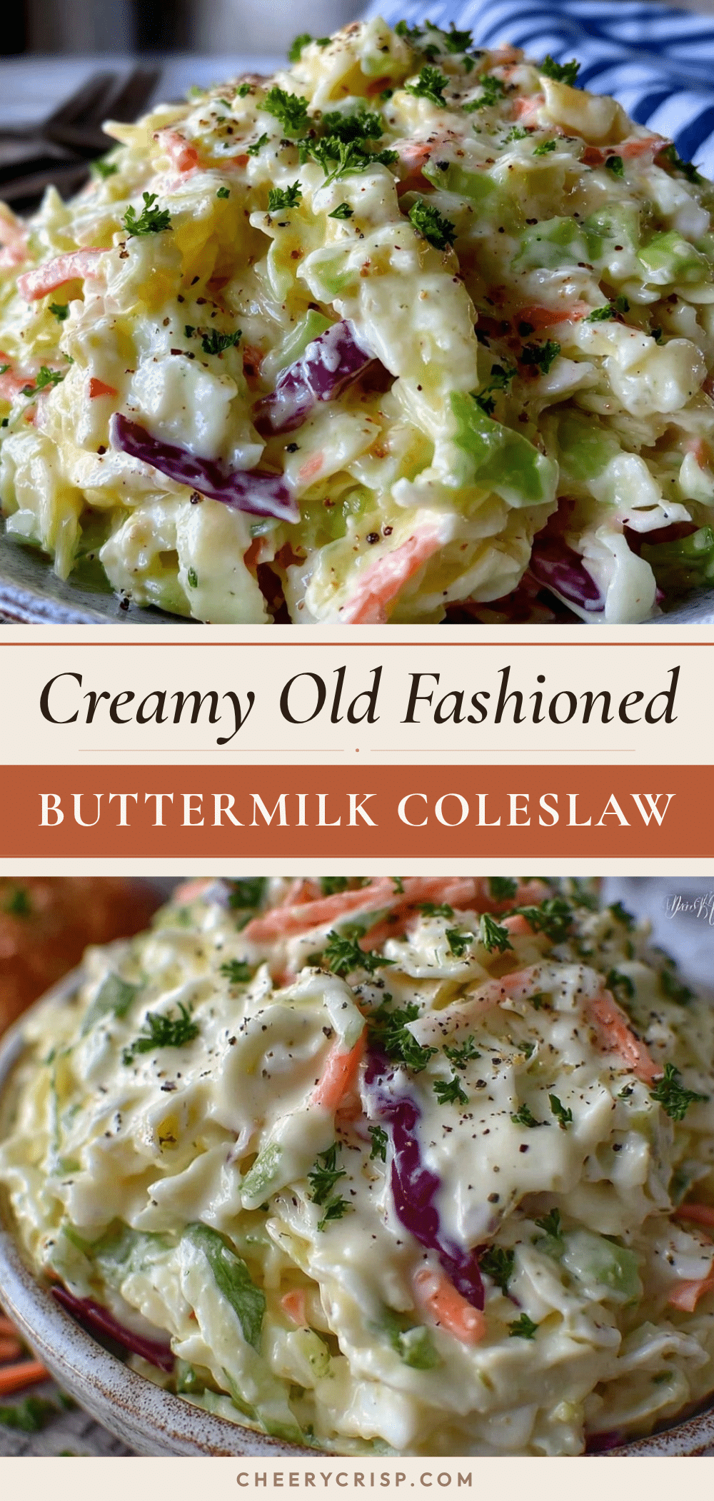 creamy old fashioned coleslaw recipe