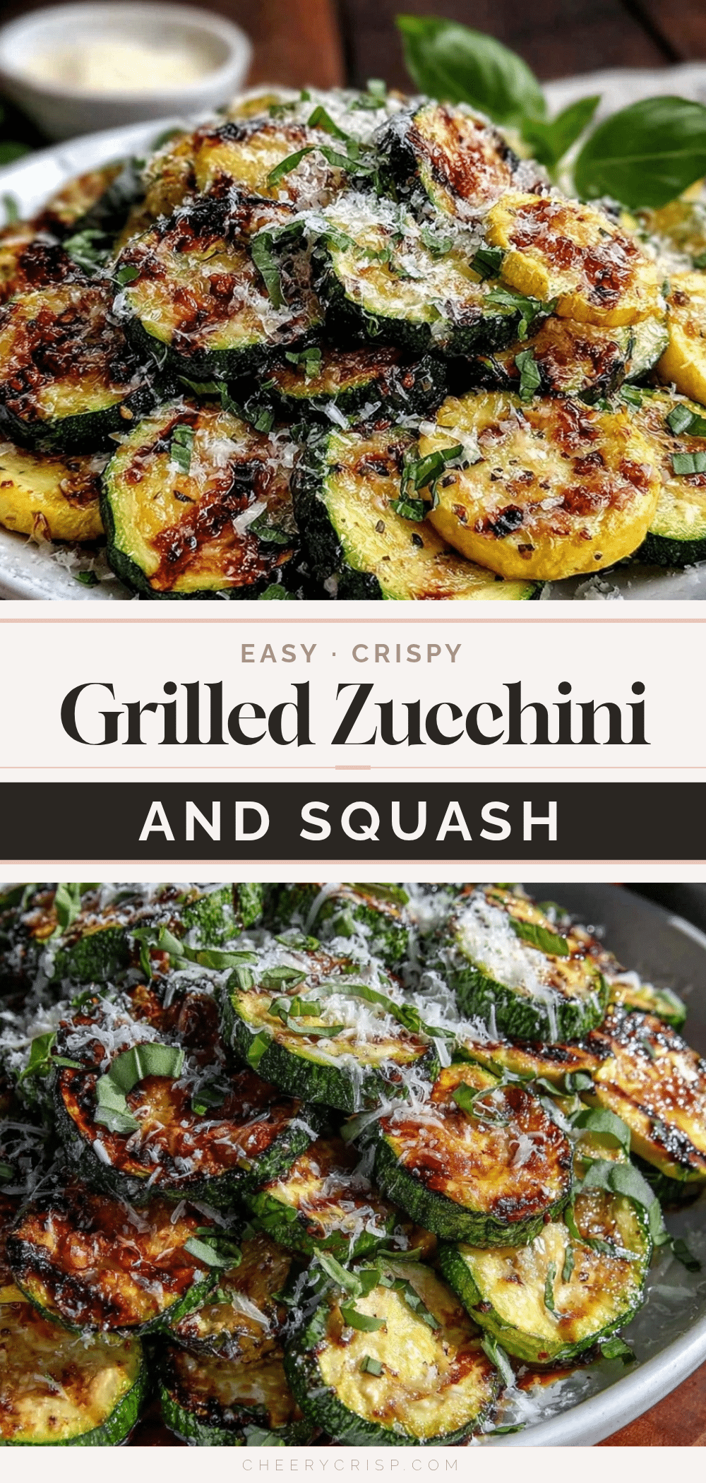 crispy grilled zucchini and squash recipe