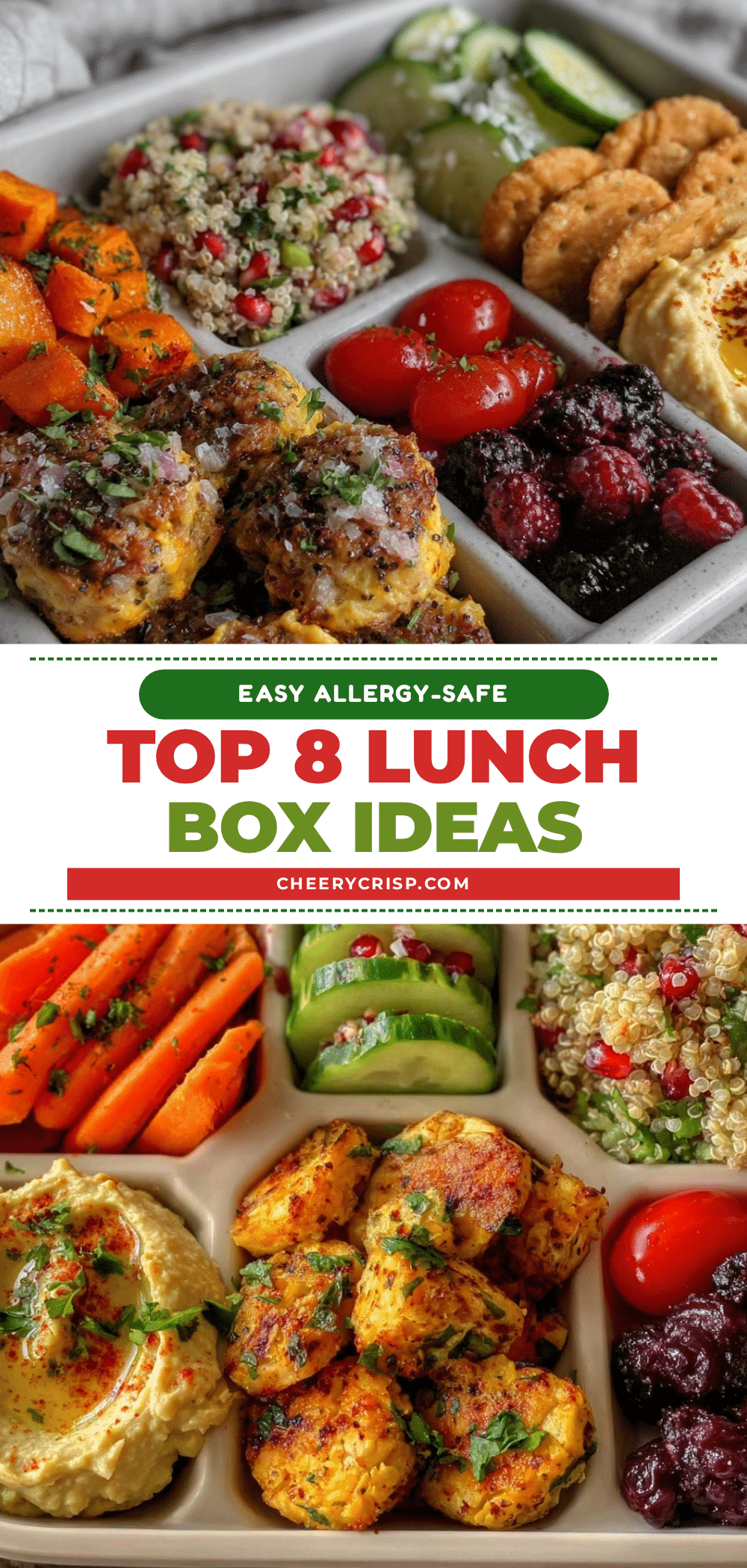easy allergy-safe lunch box ideas recipe
