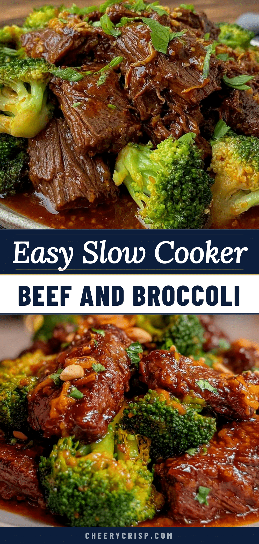 easy slow cooker beef and broccoli recipe
