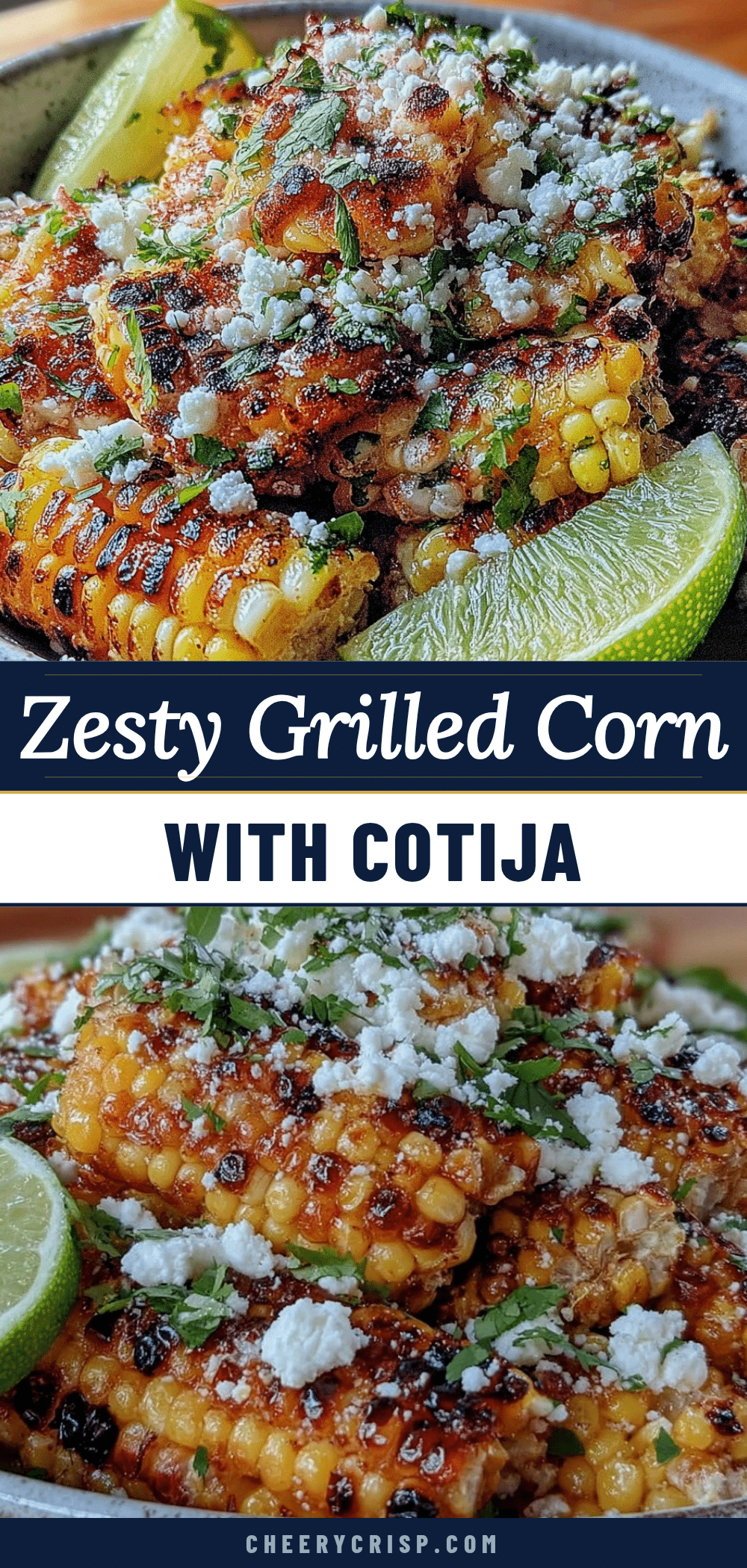fresh grilled corn salad recipe