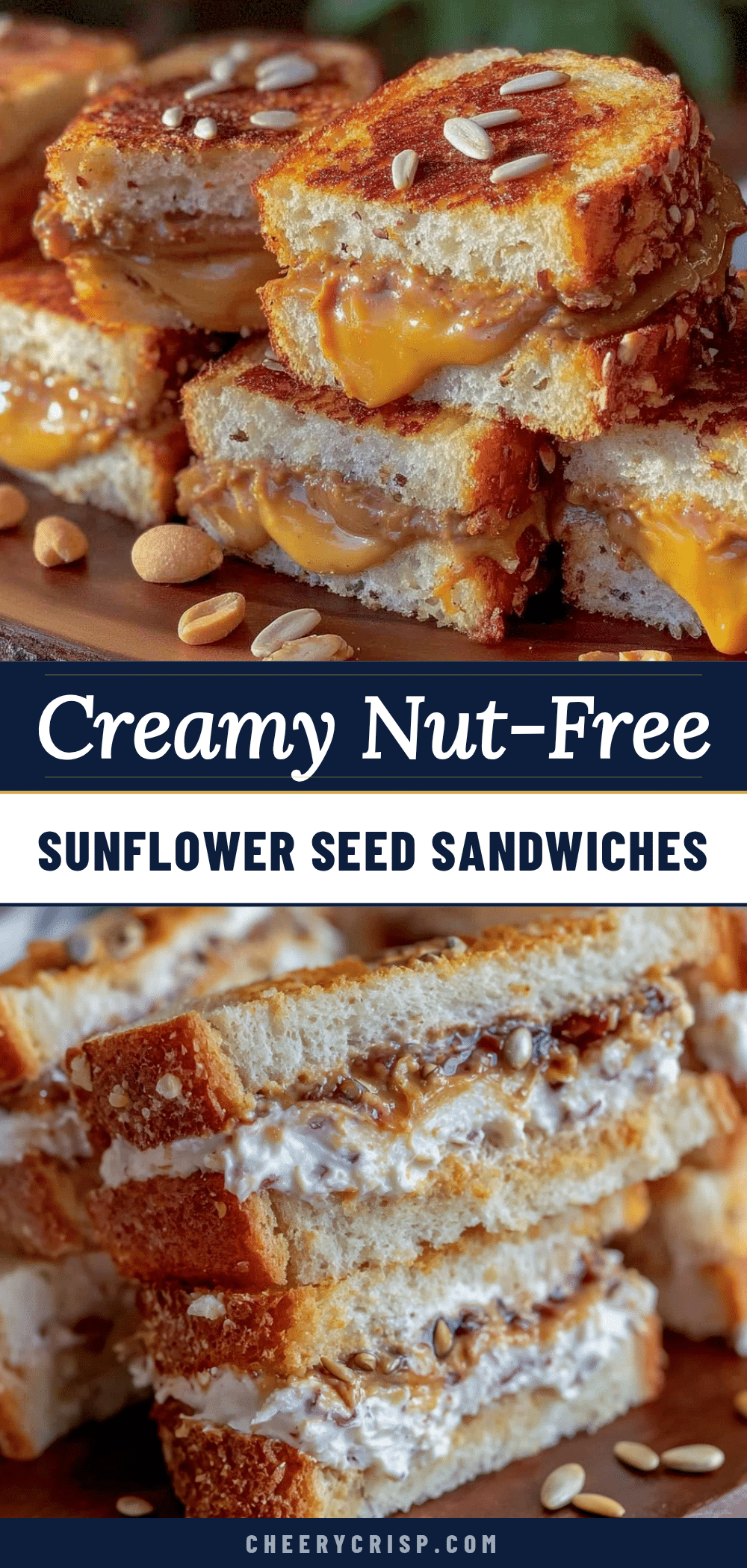 healthy nut-free sunflower seed butter sandwiches recipe