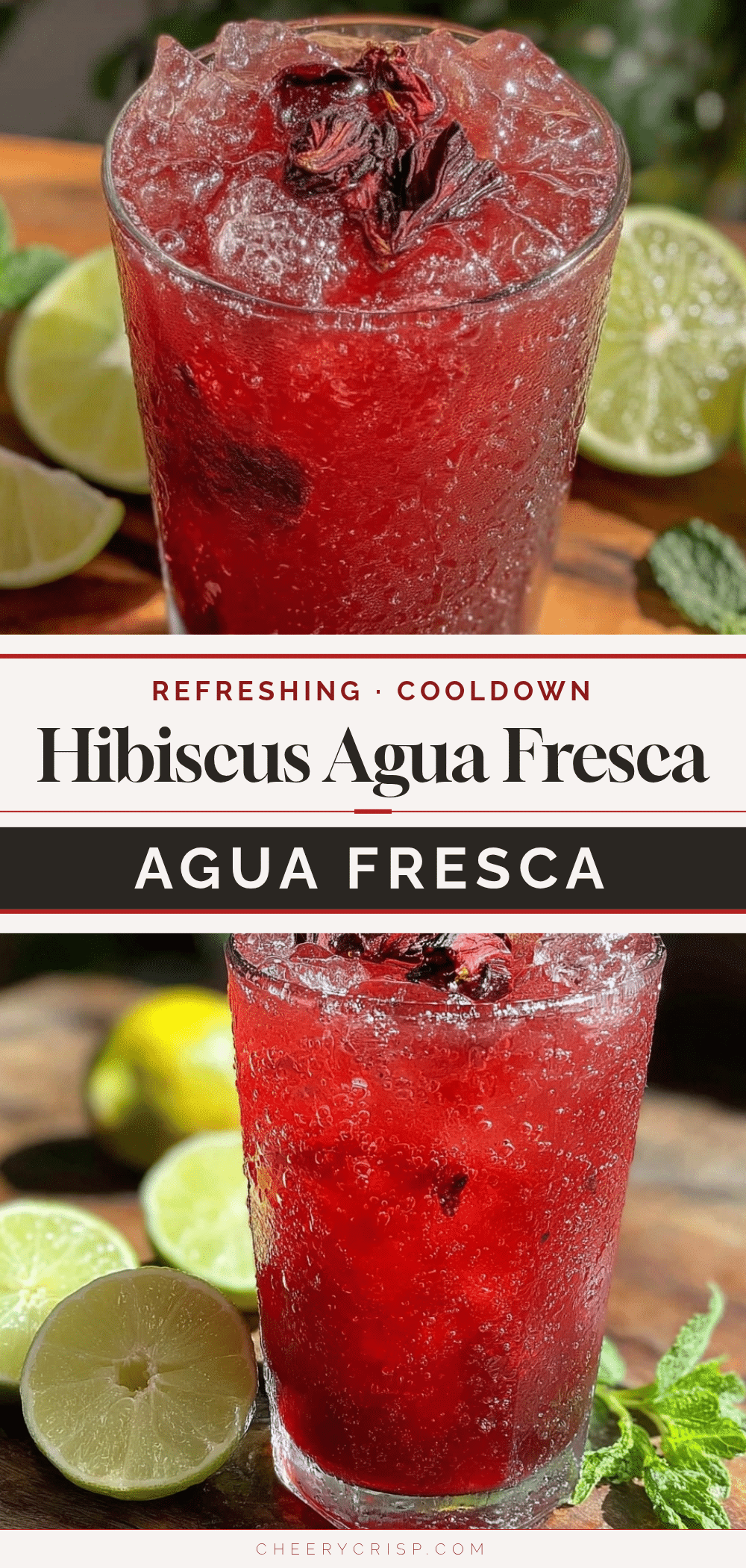 hibiscus agua fresca recipe recipe