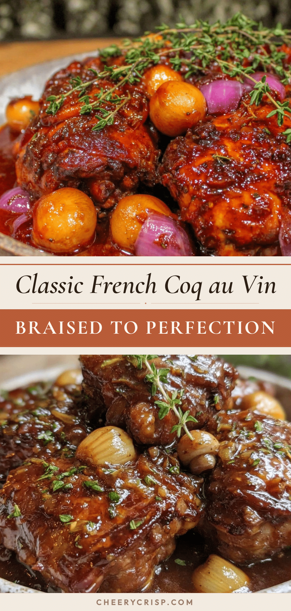 perfect French coq au vin recipe recipe