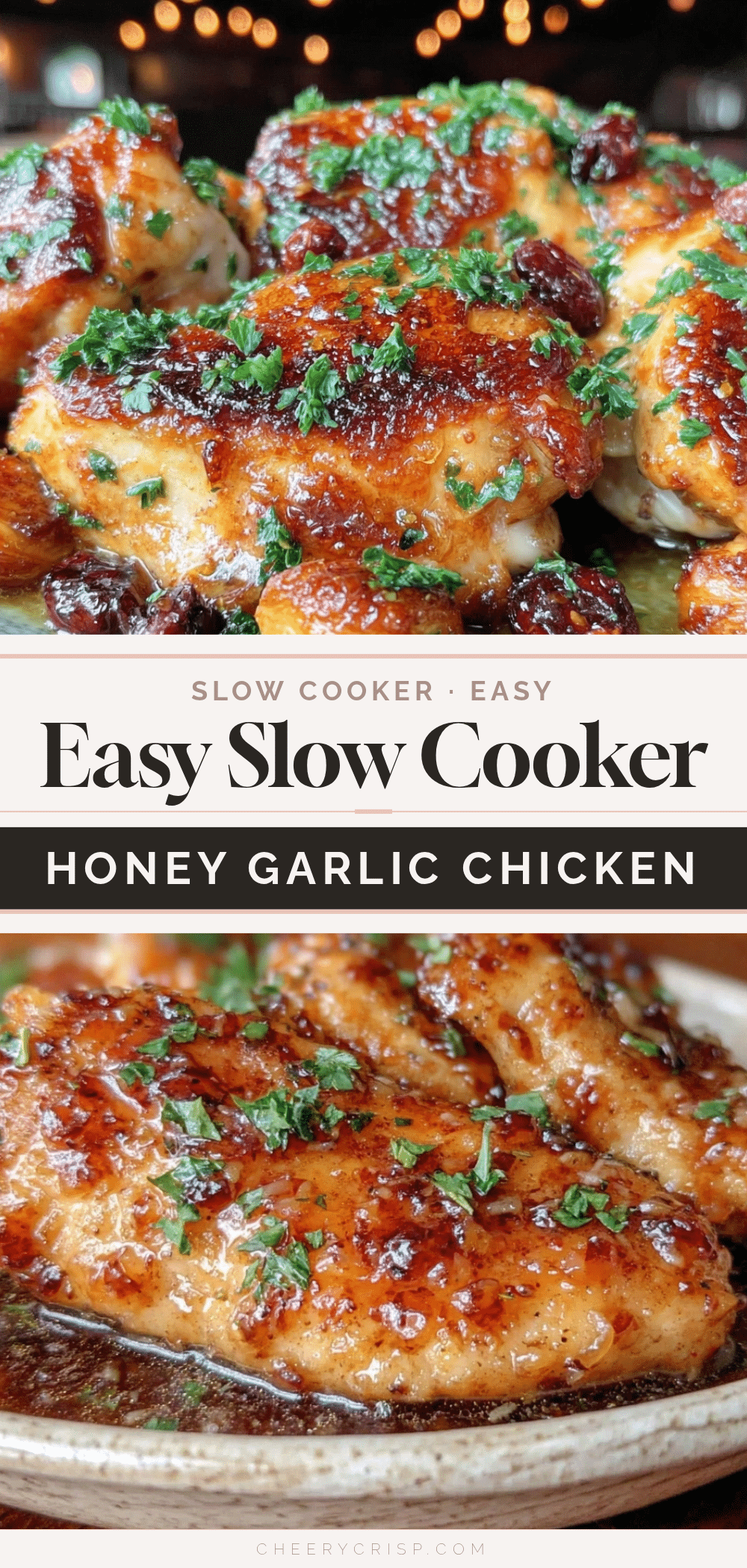 slow cooker honey garlic chicken breast recipe