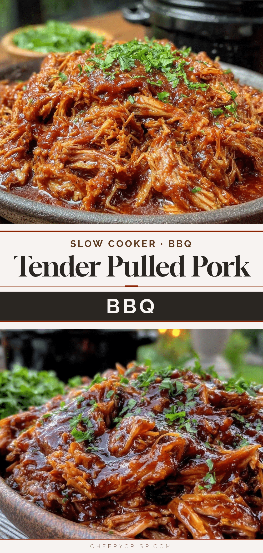 slow cooker pulled pork recipe