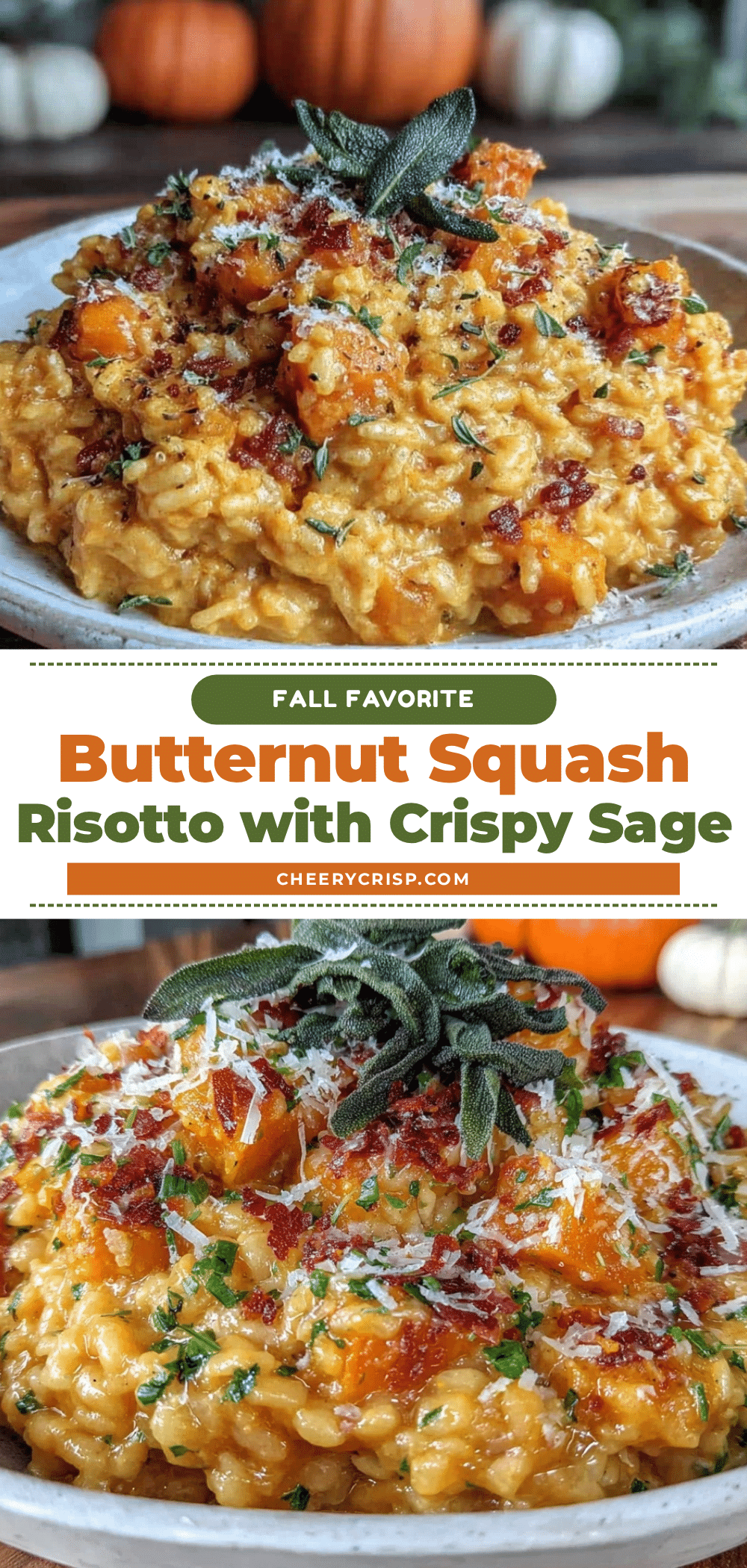 butternut squash risotto recipe