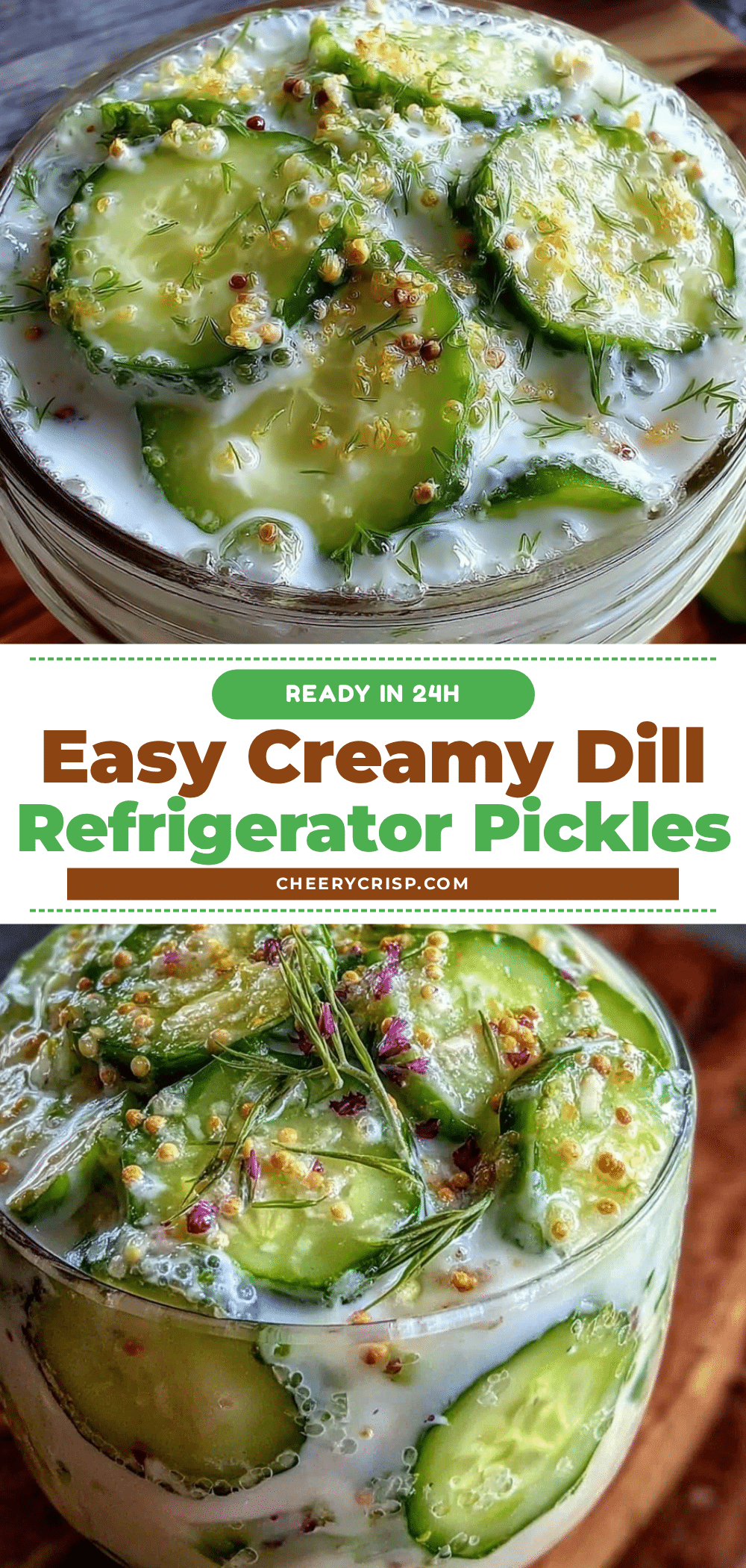 creamy dill refrigerator pickles recipe
