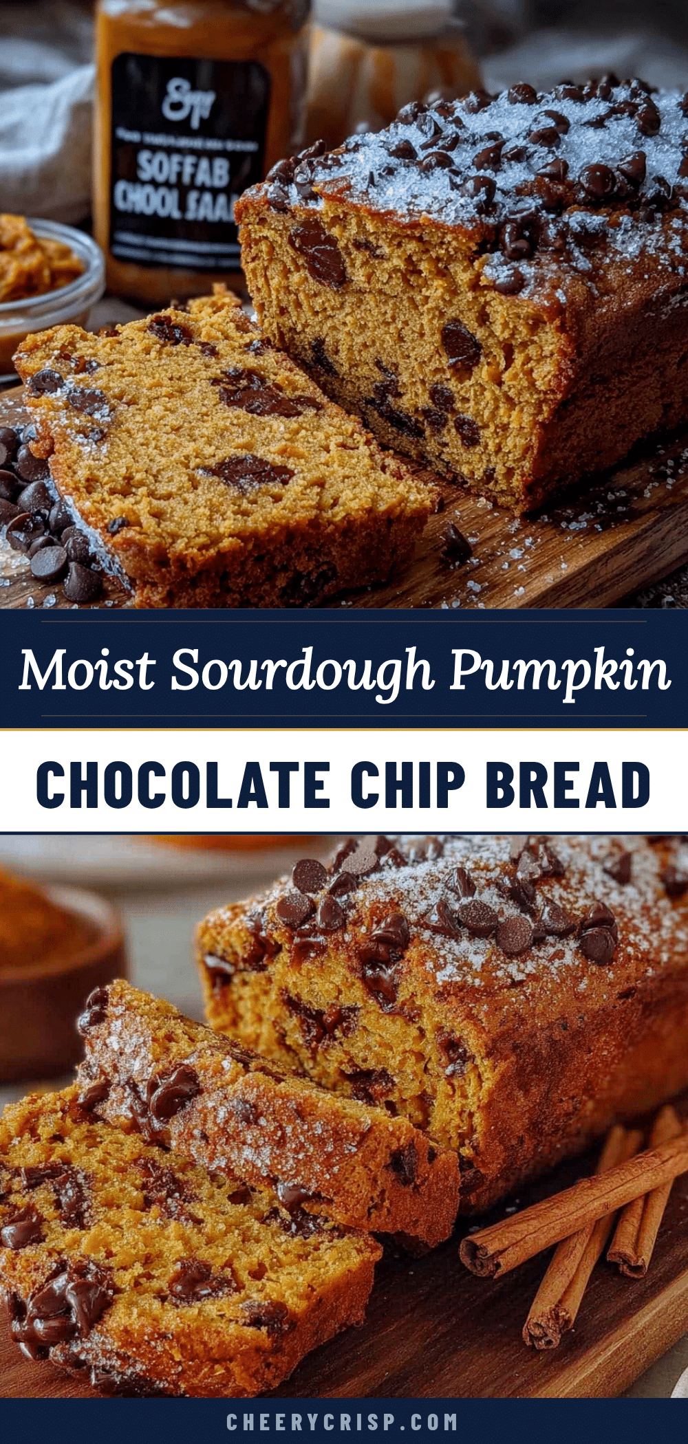 sourdough discard pumpkin chocolate chip bread recipe