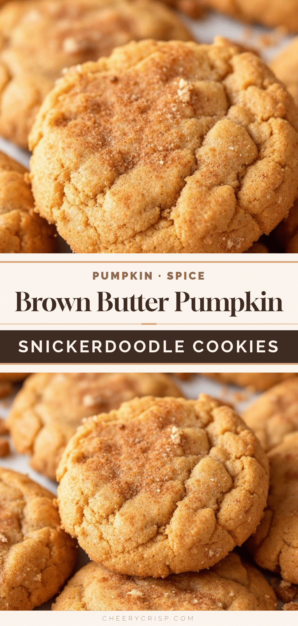 brown butter pumpkin snickerdoodle cookies recipe