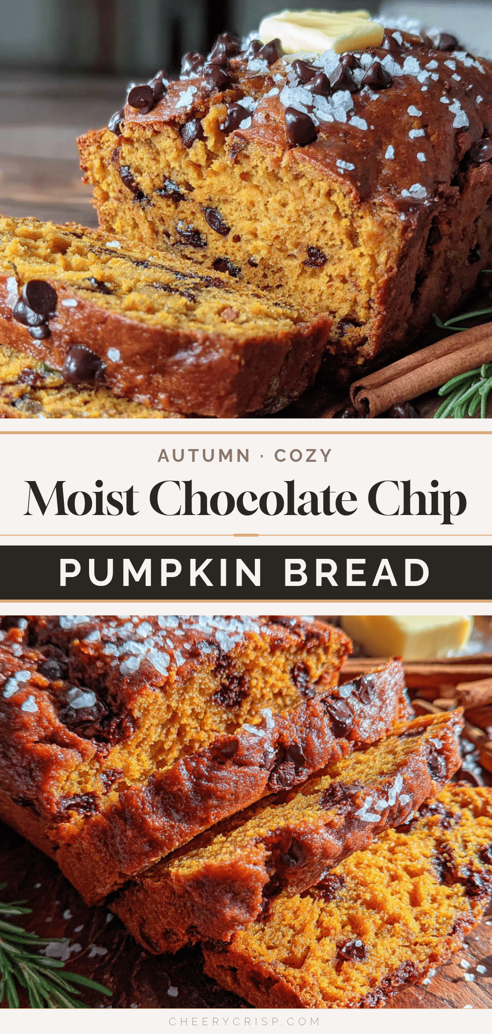 chocolate chip pumpkin bread recipe