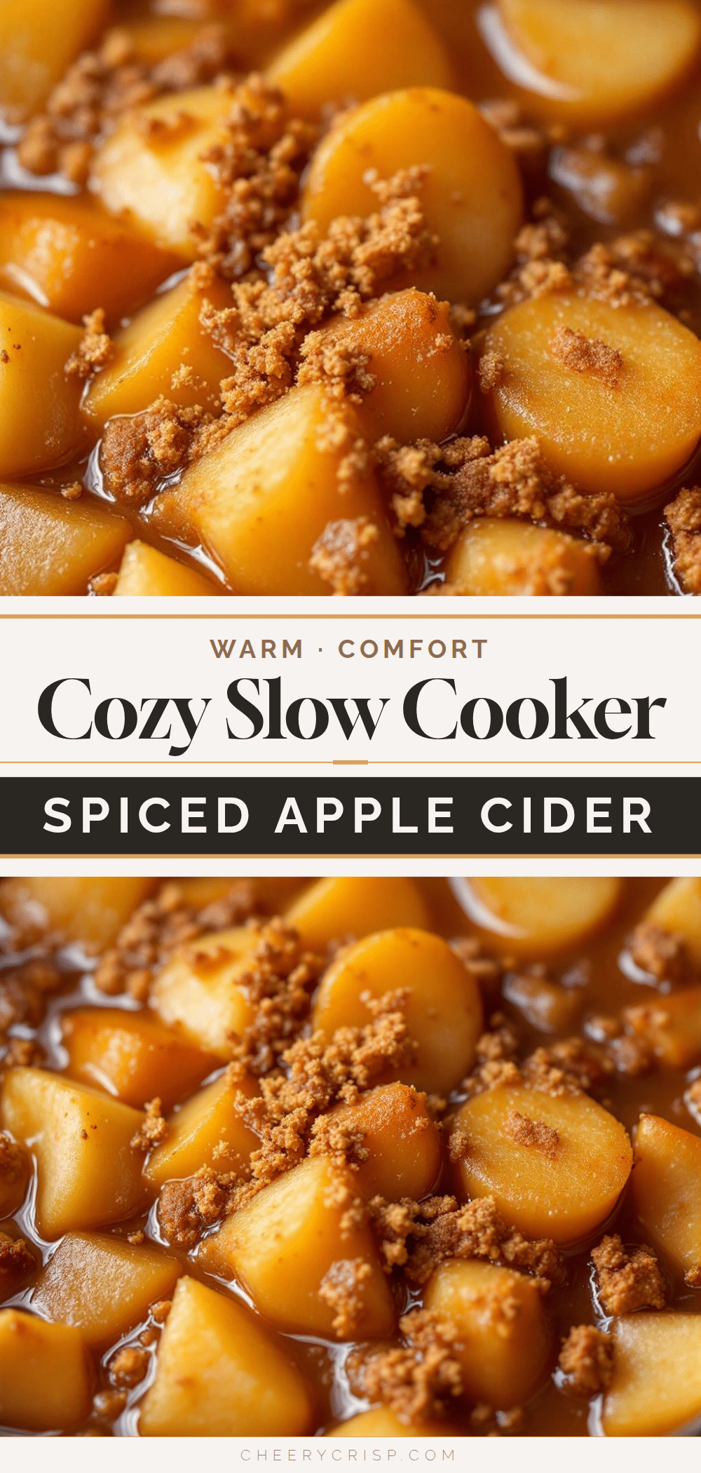 cozy slow cooker spiced apple cider recipe