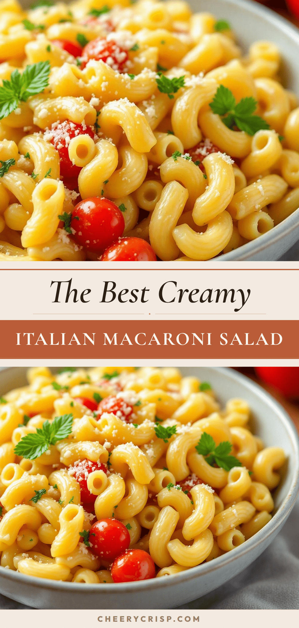 creamy Italian macaroni pasta salad recipe