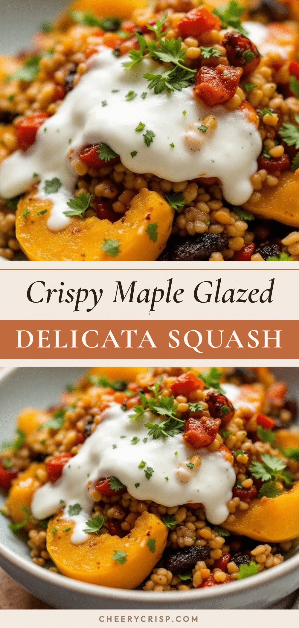 crispy maple glazed delicata squash recipe