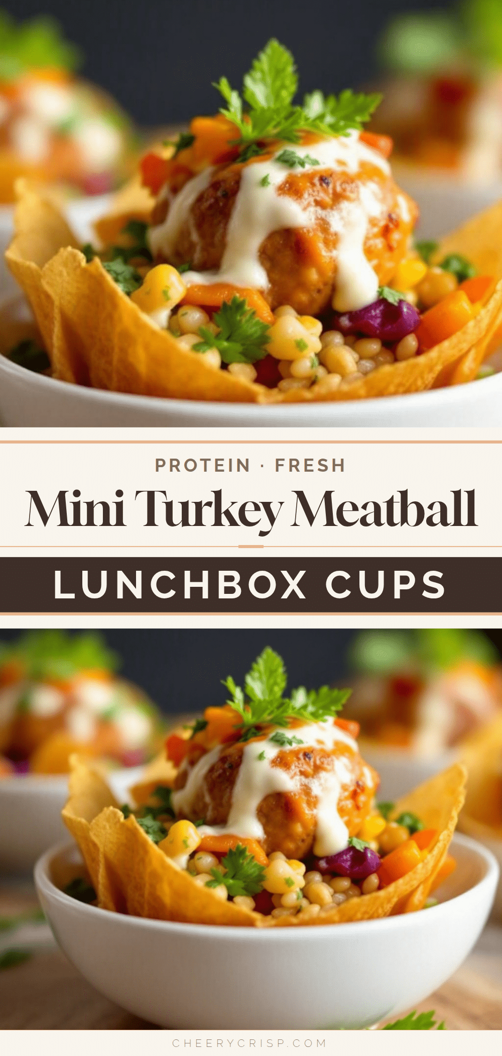 mini turkey meatball lunchbox cups recipe