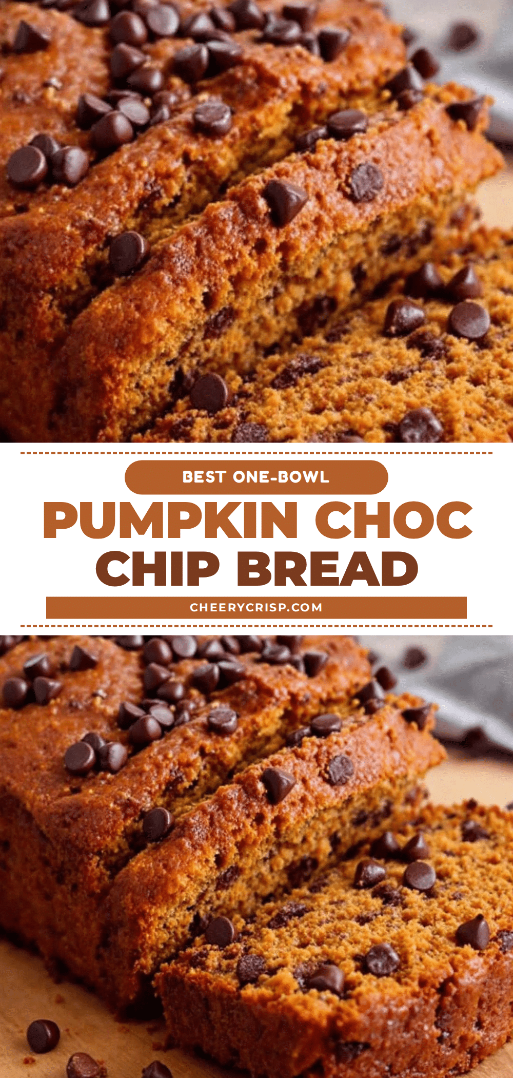 pumpkin chocolate chip bread recipe