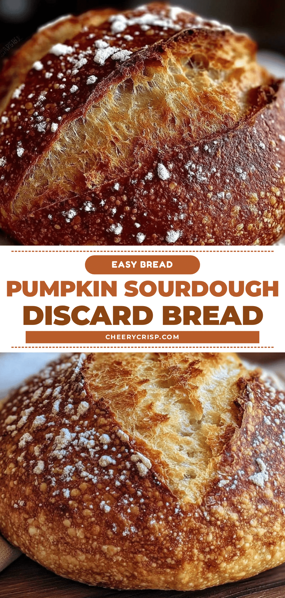 pumpkin sourdough discard bread recipe