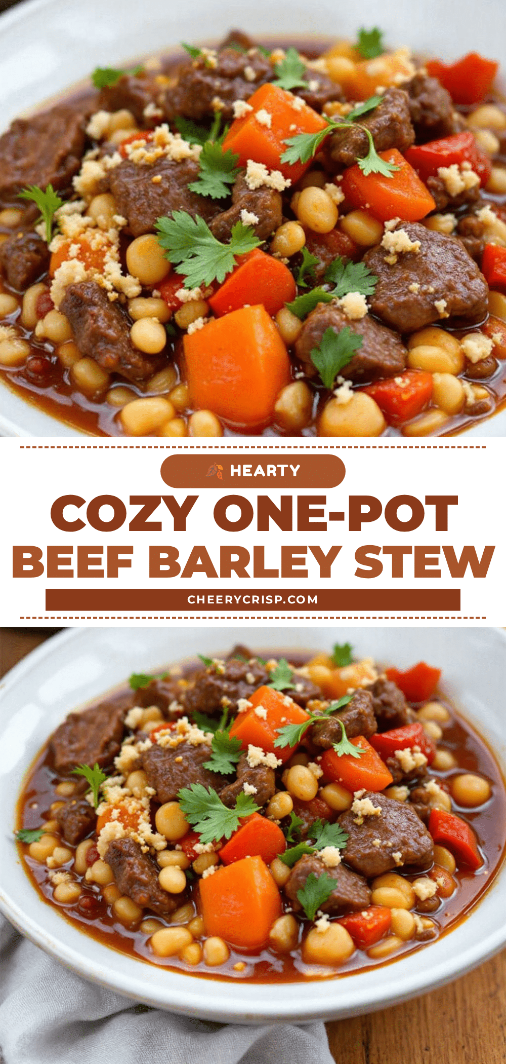 beef barley stew recipe
