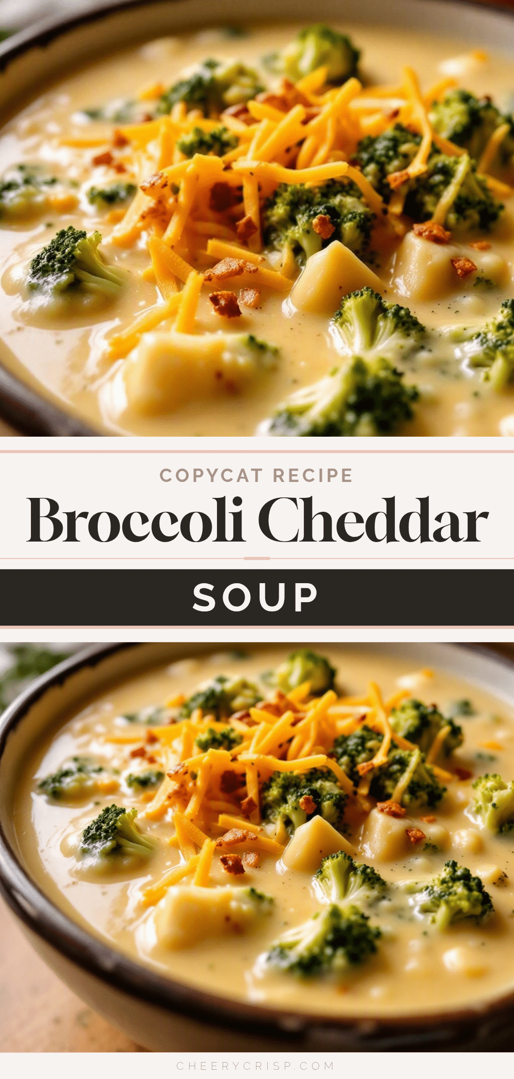 copycat Panera broccoli cheddar soup recipe