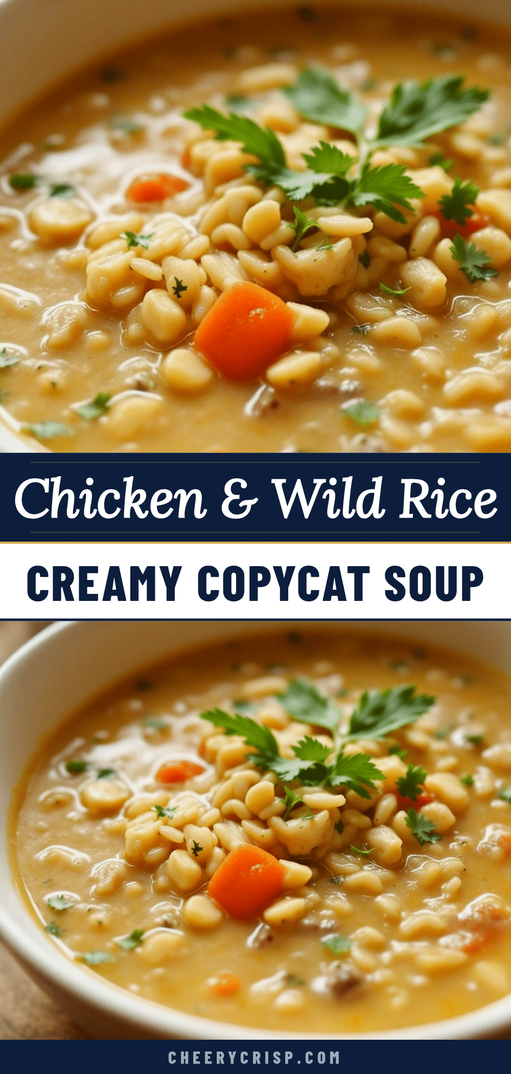 copycat panera chicken and wild rice soup recipe