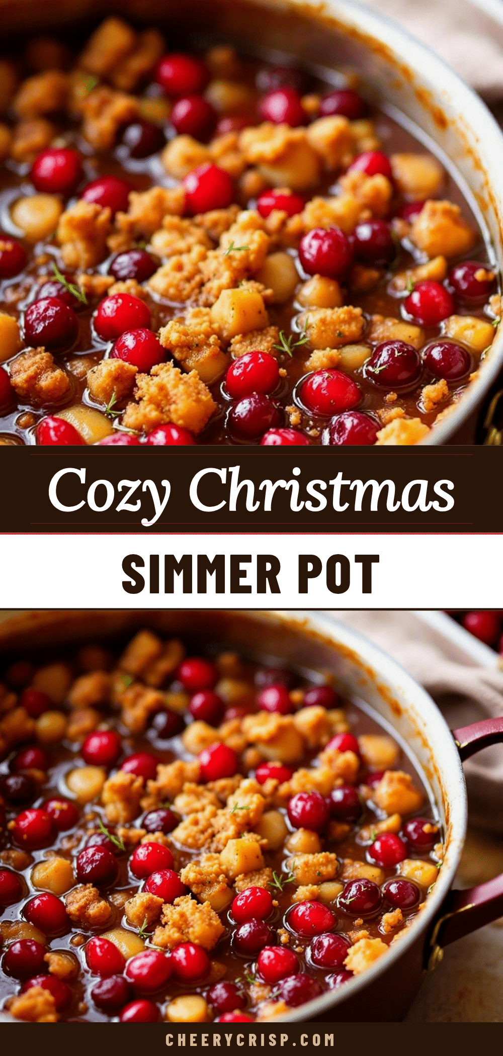cozy christmas simmer pot recipe