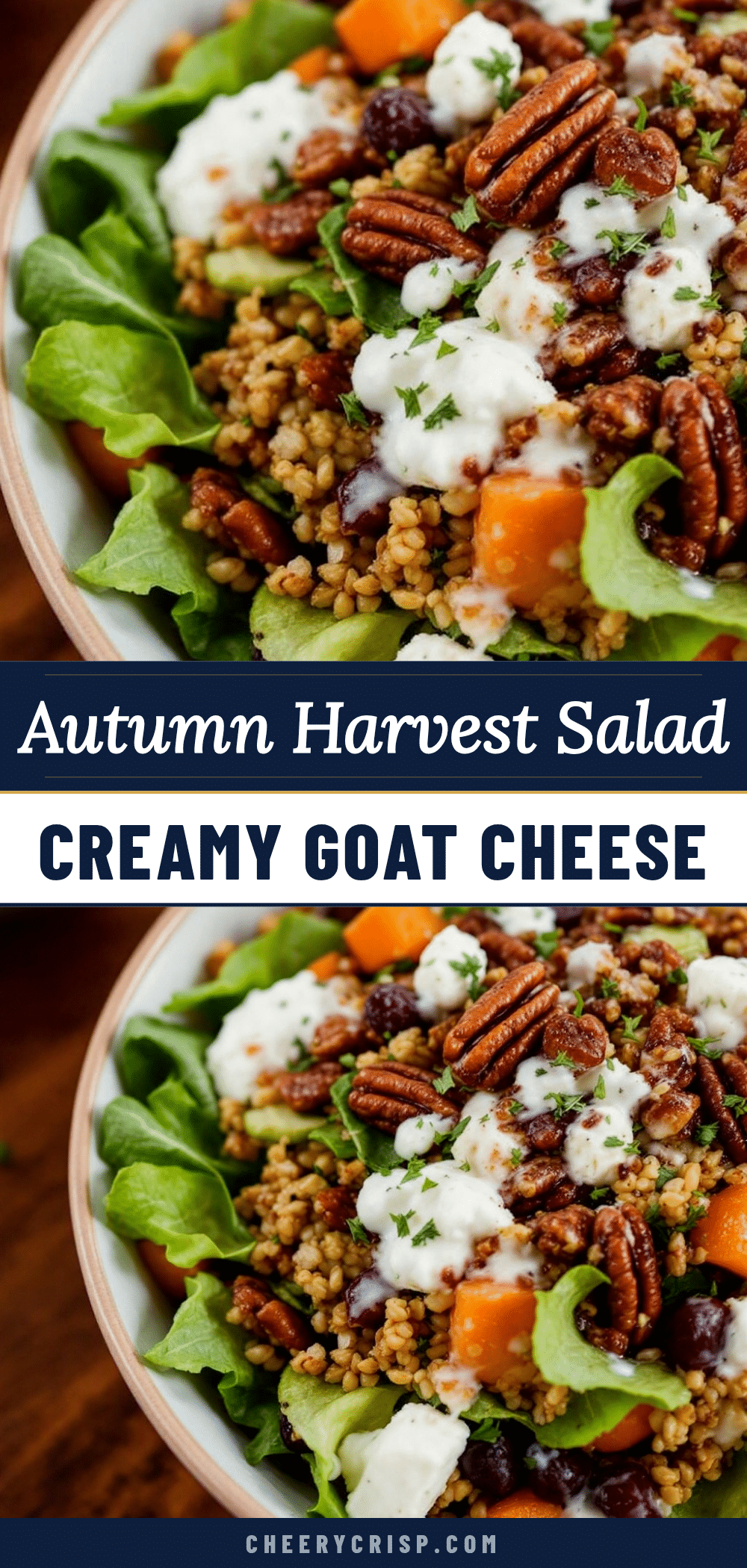 creamy autumn harvest salad recipe