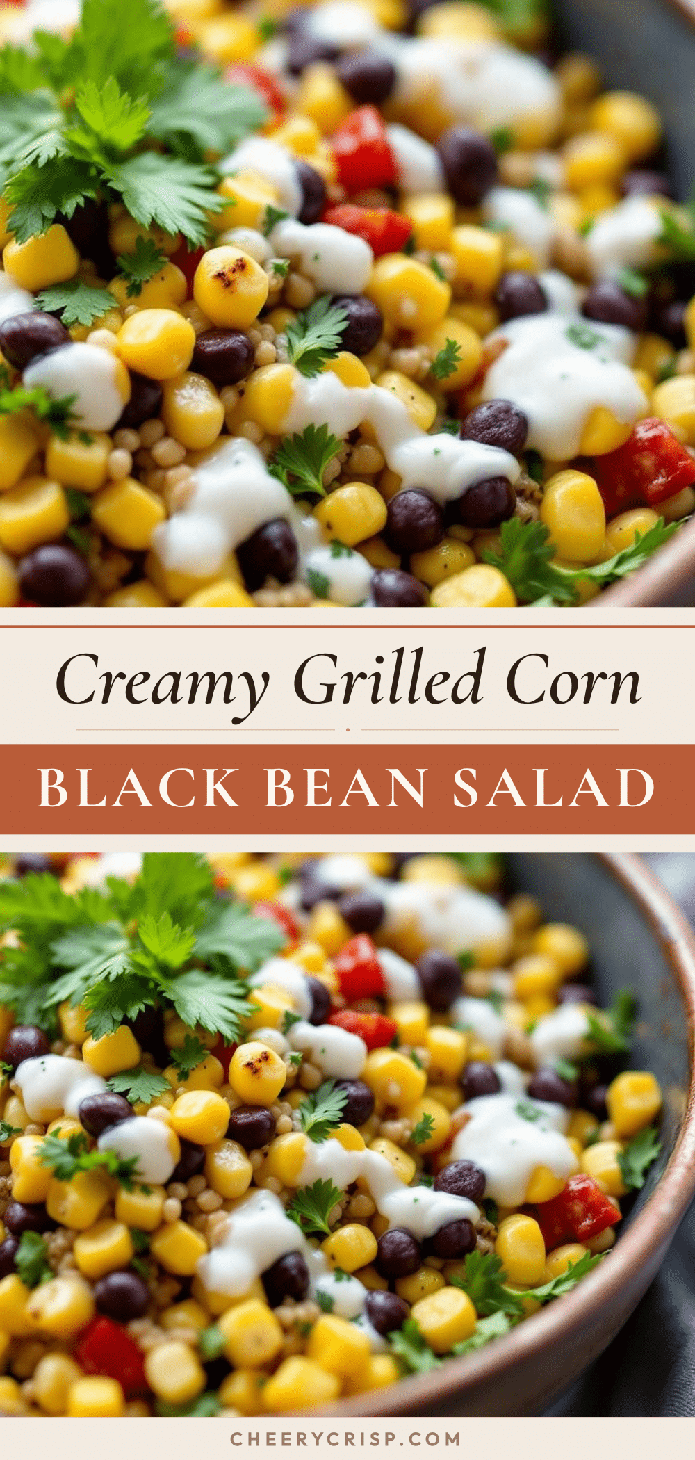 creamy grilled corn black bean salad recipe