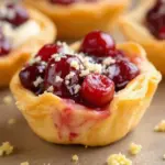 Crispy Cranberry Brie Bites - featured image