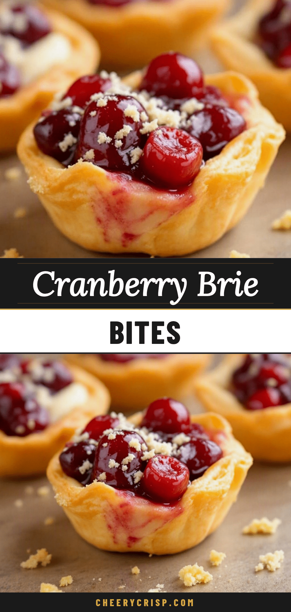 Crispy Cranberry Brie Bites recipe