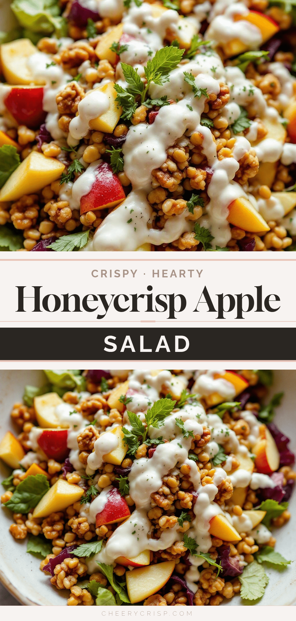 Crispy Honeycrisp Apple Walnut Salad recipe