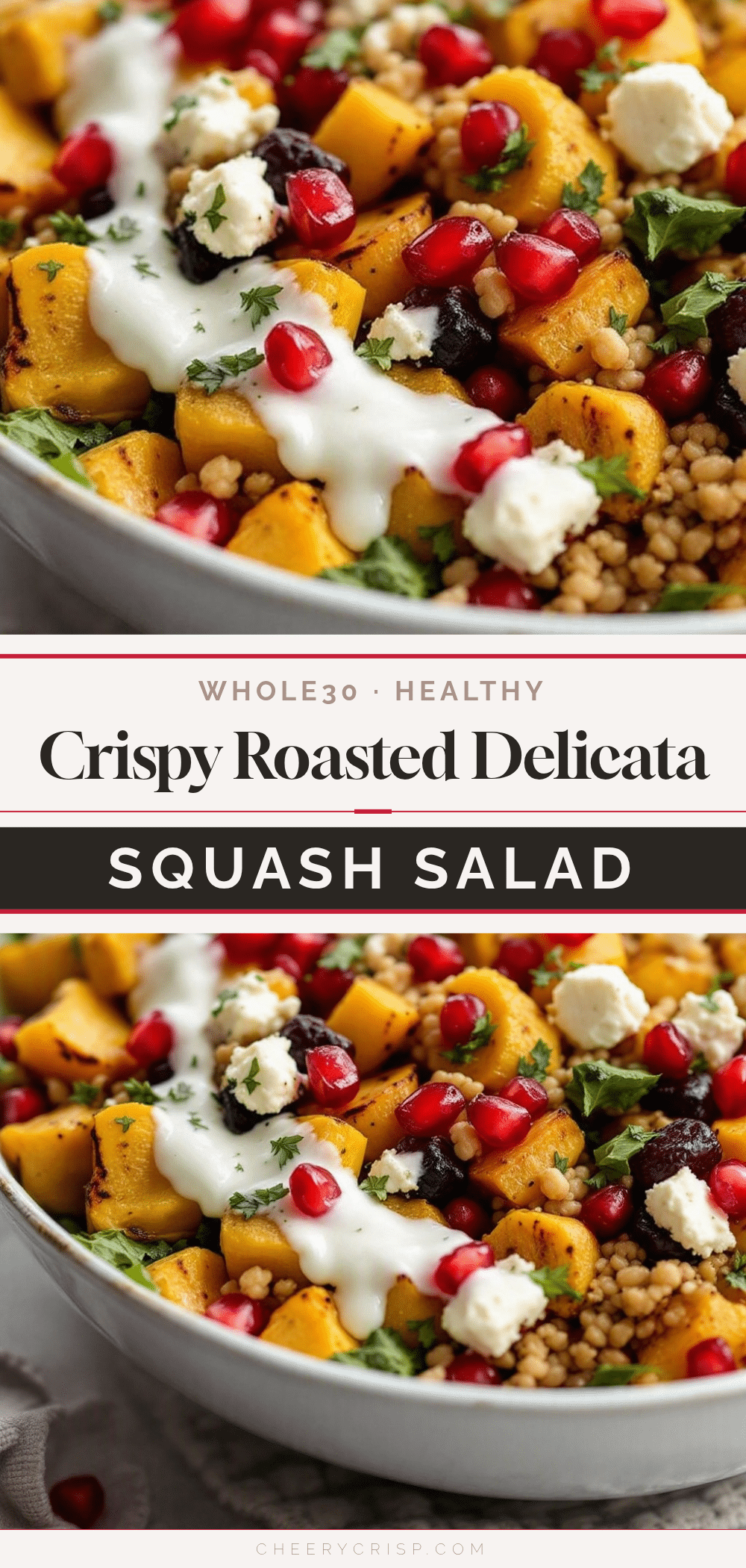 crispy roasted delicata squash salad recipe