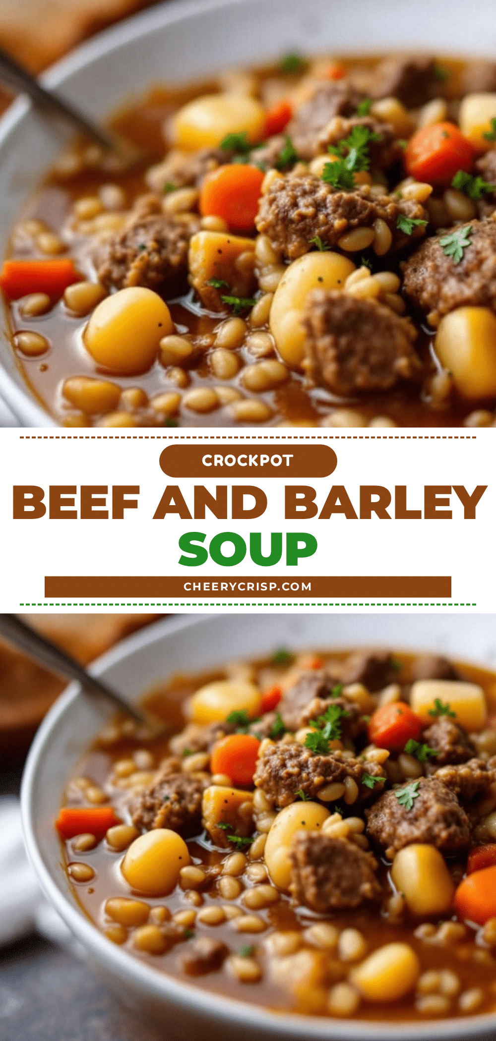 crockpot beef and vegetable soup with barley recipe