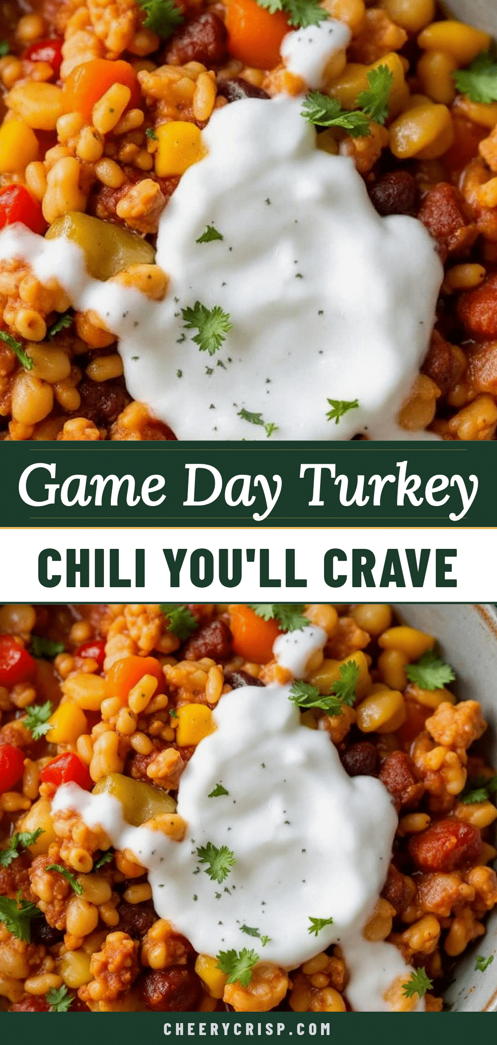 healthy turkey chili recipe