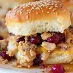 juicy turkey cranberry sliders - featured image