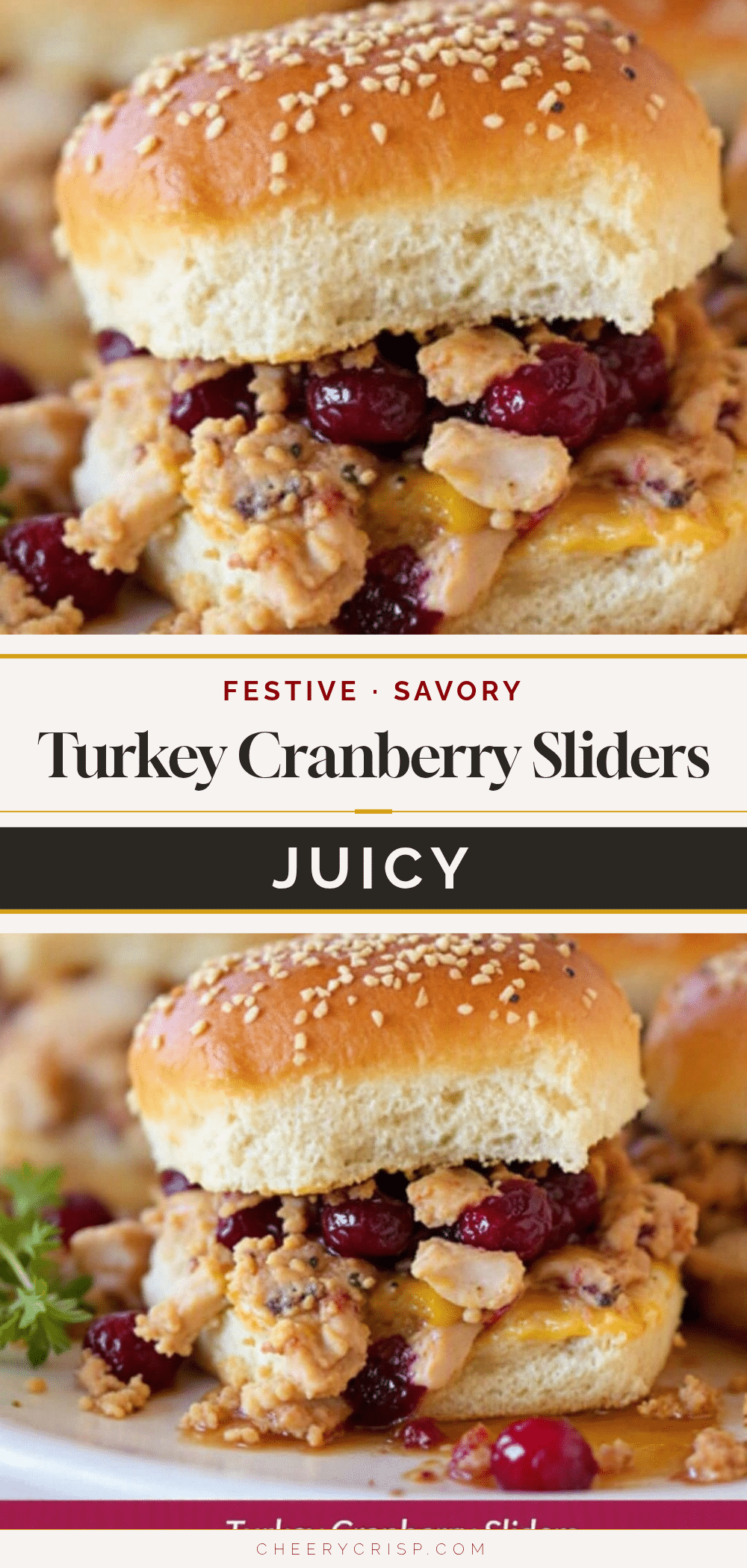 juicy turkey cranberry sliders recipe