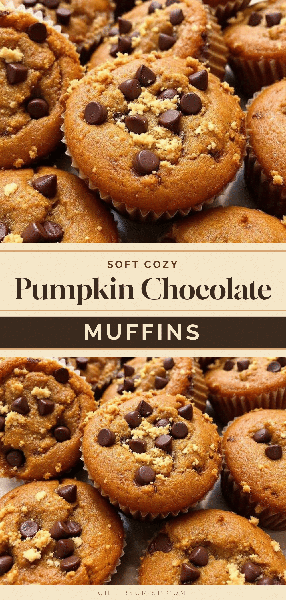 mini pumpkin chocolate chip muffins recipe