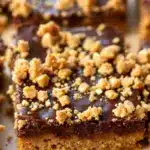 no-bake chocolate peanut butter lunchbox bars - featured image