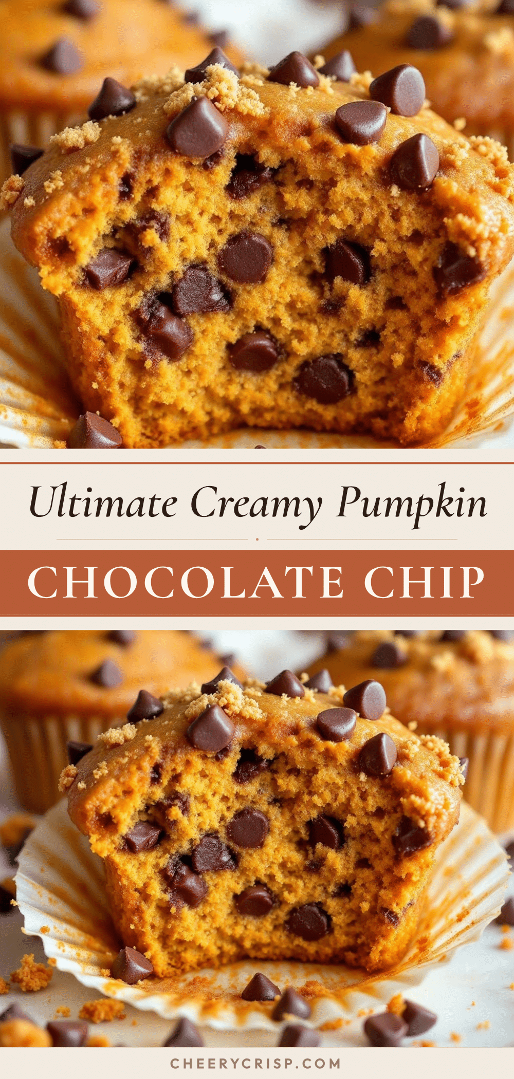 pumpkin chocolate chip muffins recipe