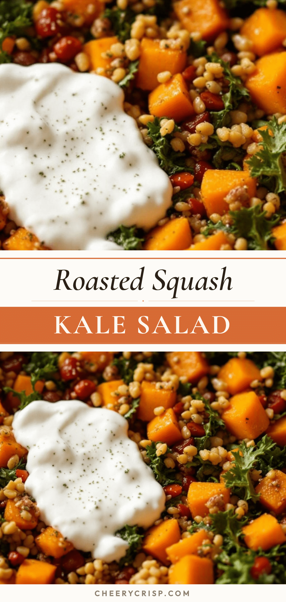roasted butternut squash and kale salad recipe