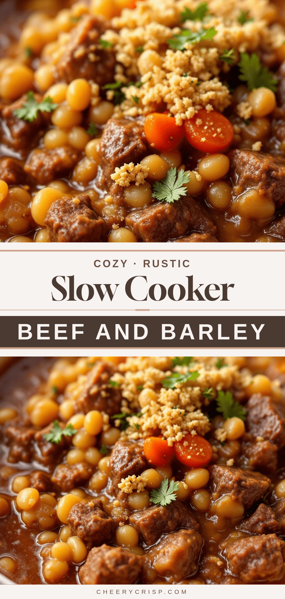 slow cooker beef and barley stew recipe
